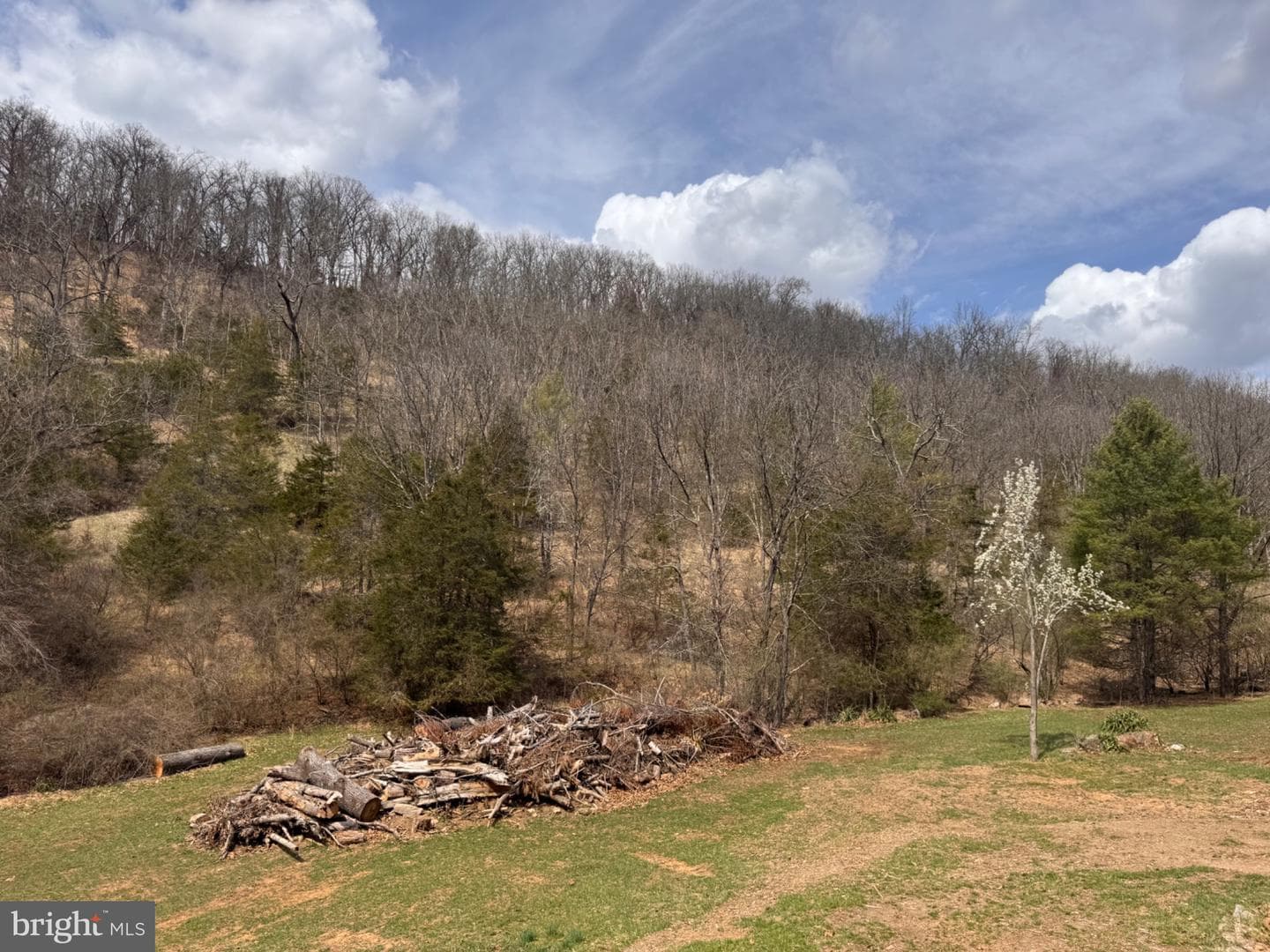 656 Wildlife Drive photo 65