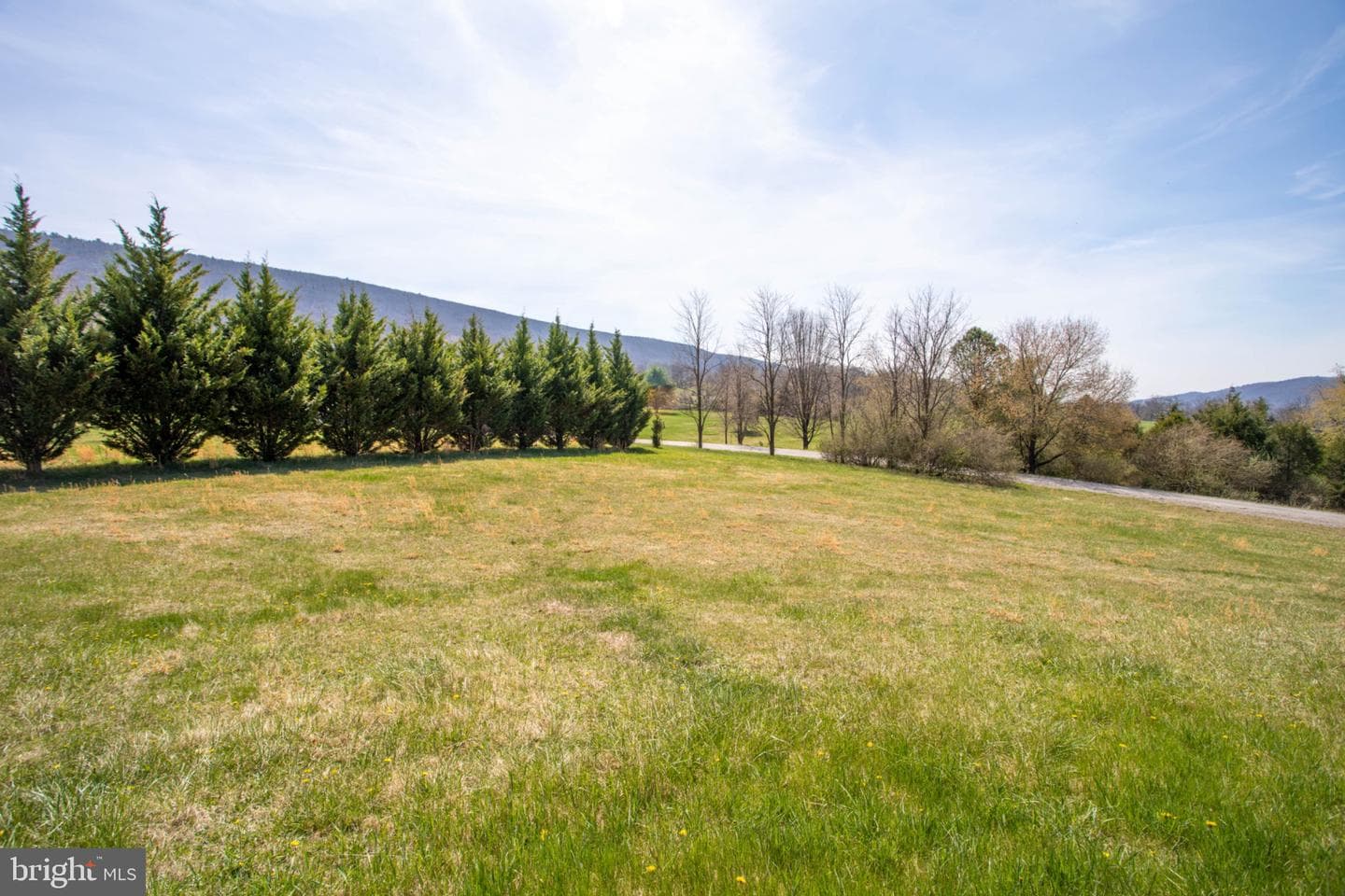 161 Coyote Run Road photo 3