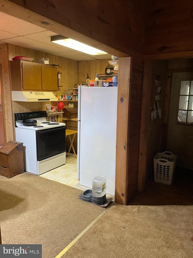 462 Trout Stream Road photo 13