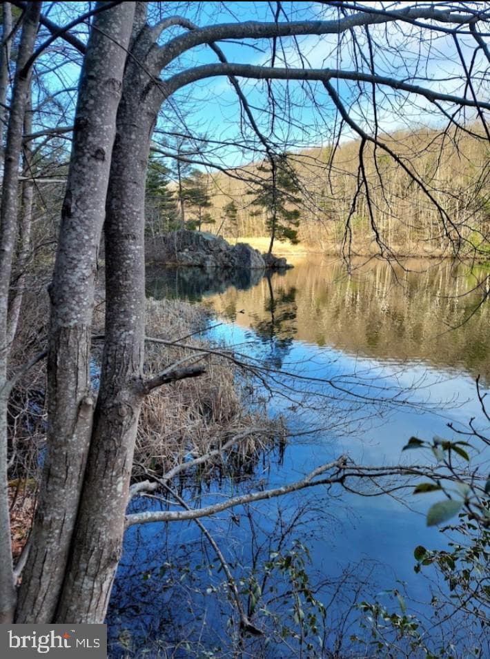462 Trout Stream Road photo 16