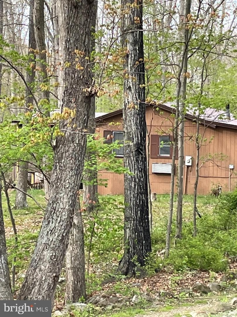 462 Trout Stream Road photo 3