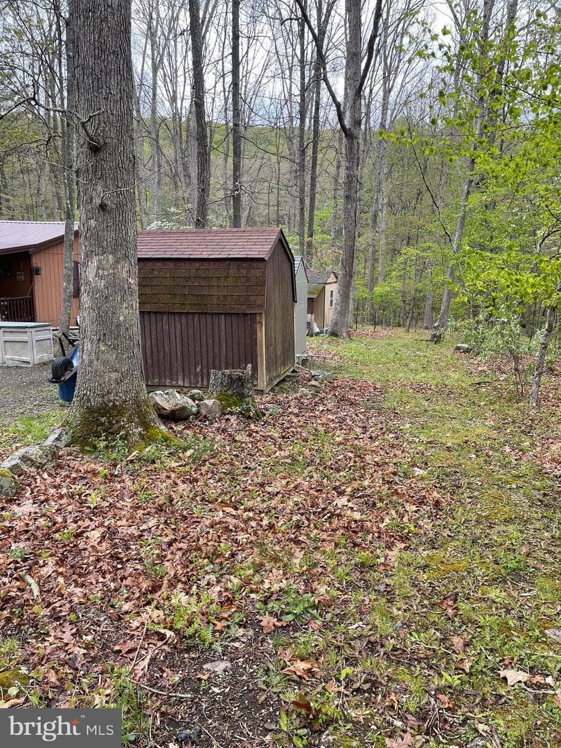 462 Trout Stream Road photo 5
