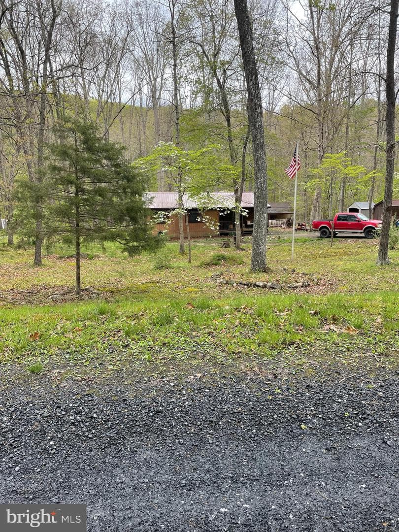 462 Trout Stream Road photo 6