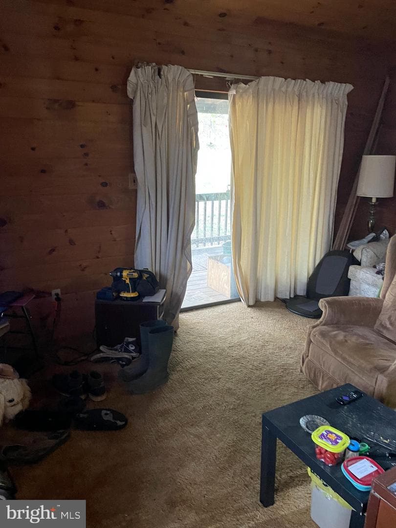 462 Trout Stream Road photo 9