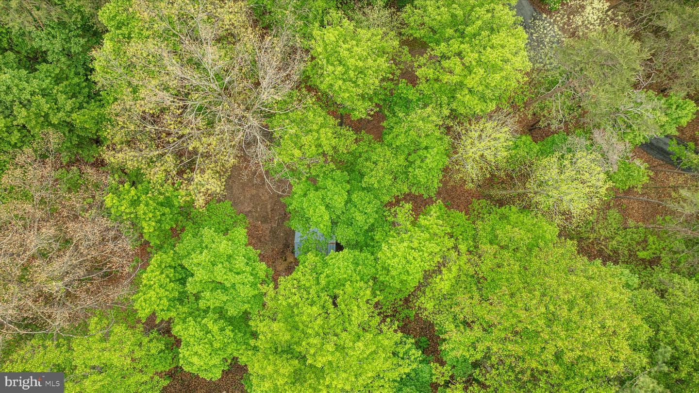 13581 Ford Hill Road photo 59