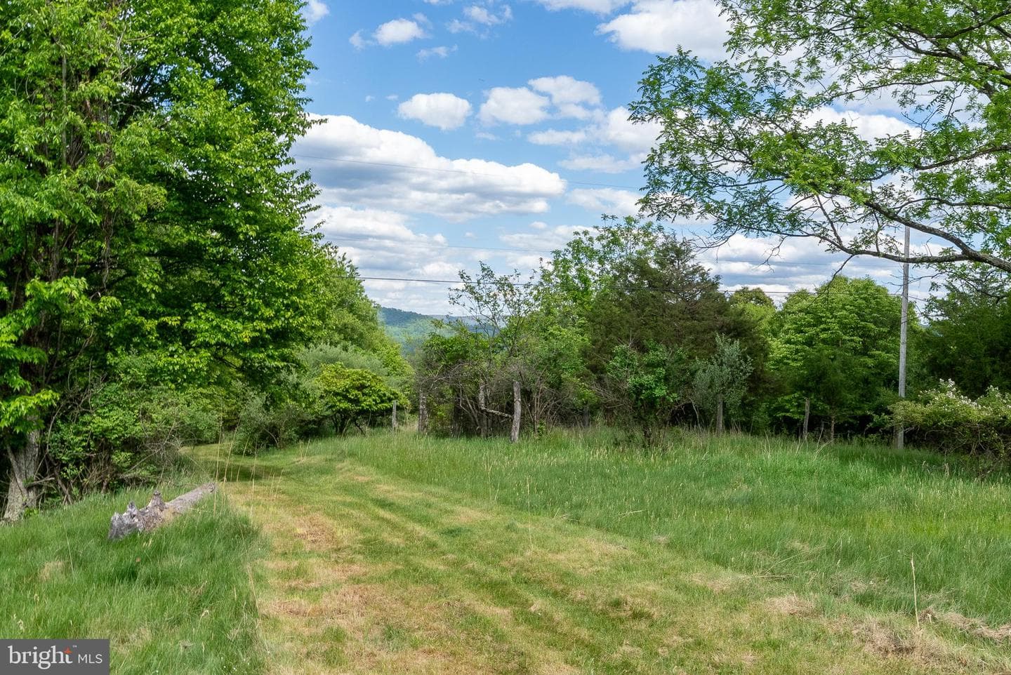 2598 Mountain View Road photo 67