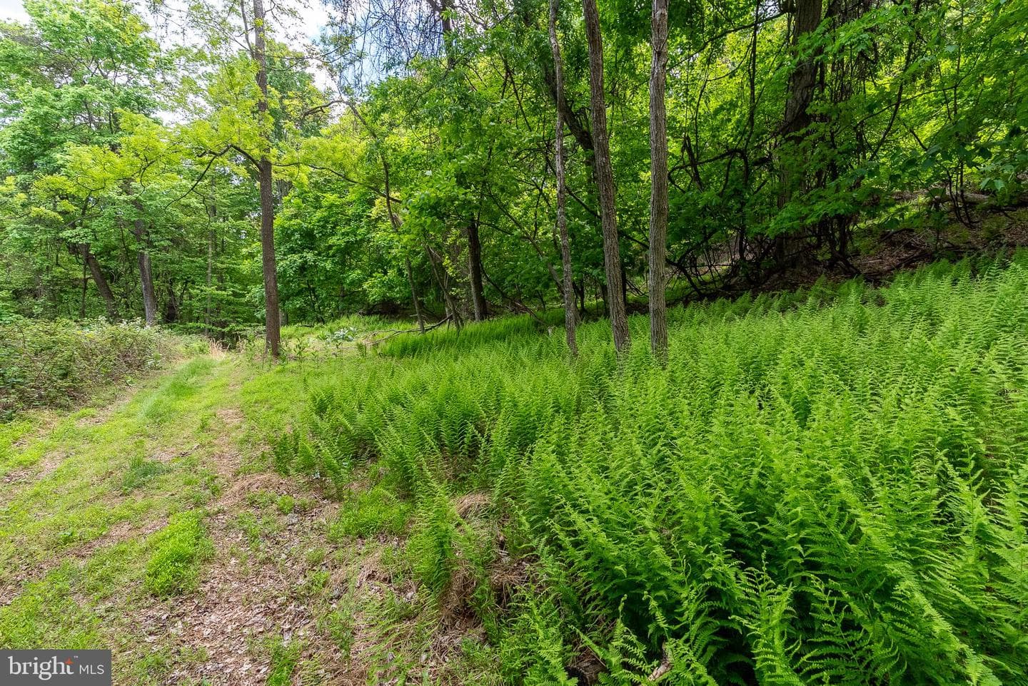 2598 Mountain View Road photo 82