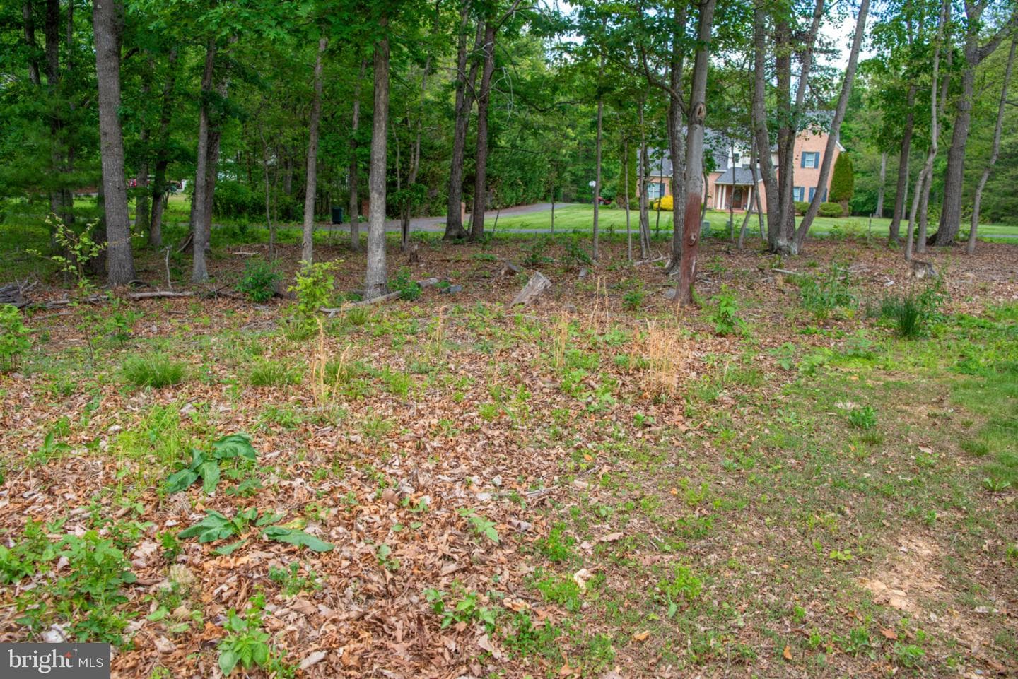 792 Forest Glen Drive photo 131