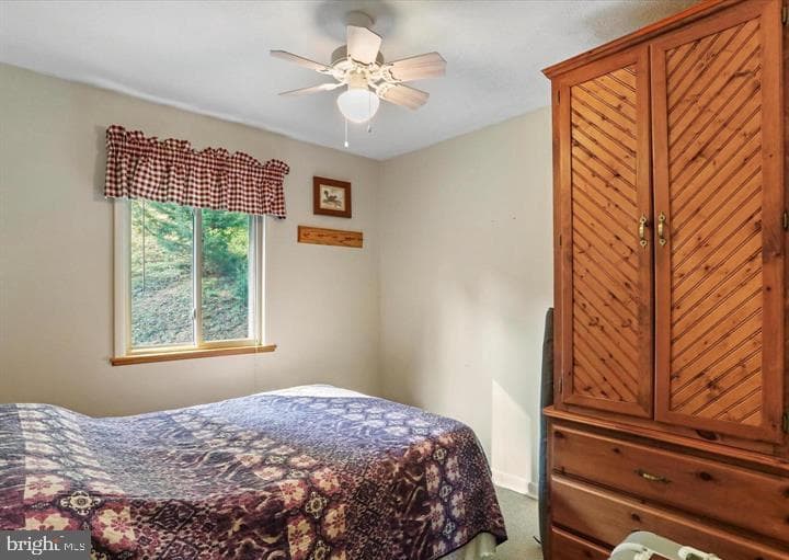 883 White Oak Crossing Road photo 15