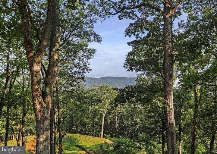 883 White Oak Crossing Road photo 23