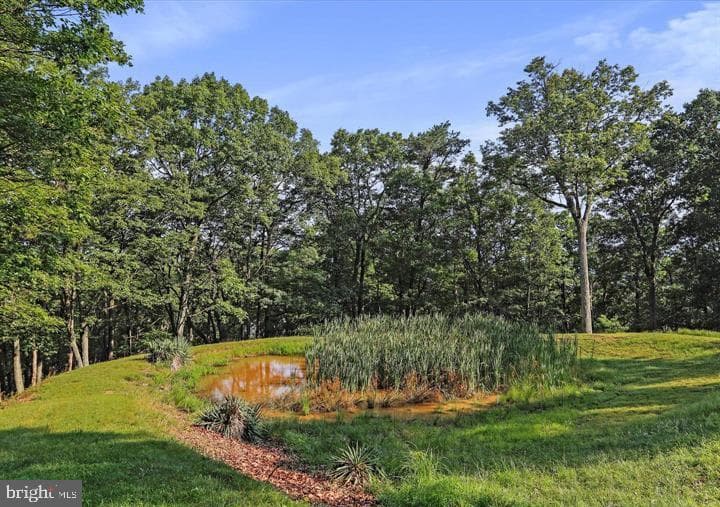 883 White Oak Crossing Road photo 24