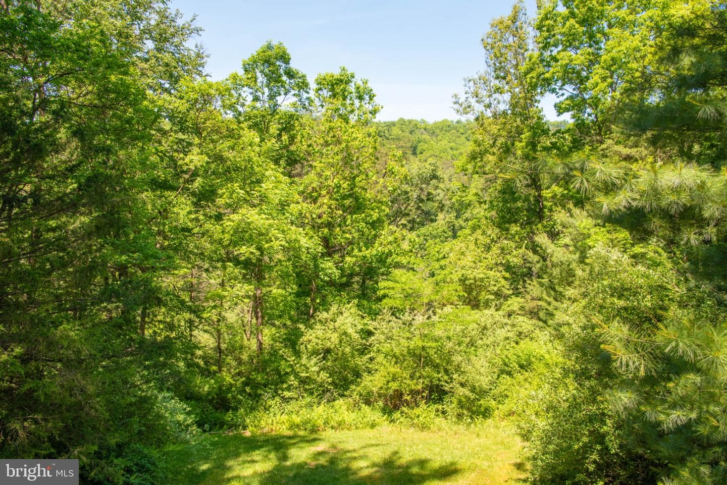 590 Whispering Pines Way photo 60