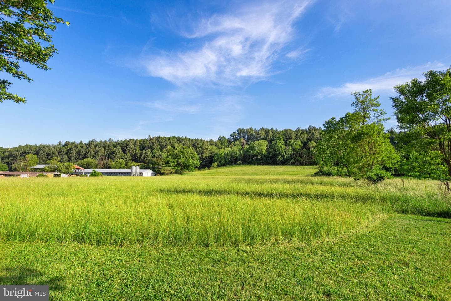 1659 Crab Run Road photo 24