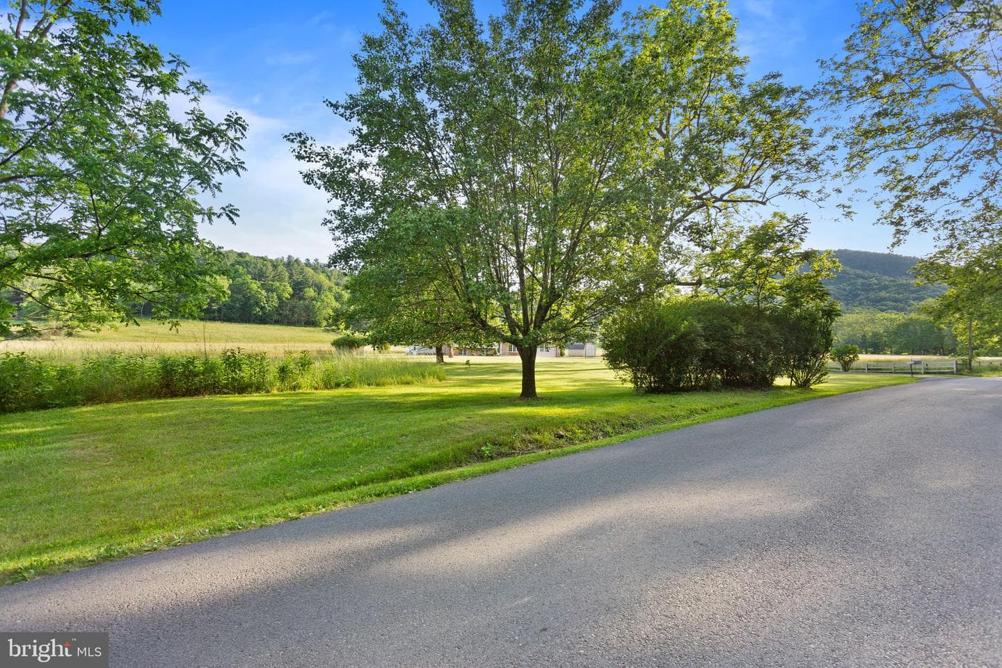 1659 Crab Run Road photo 27