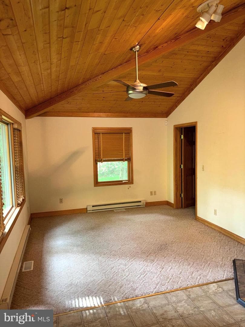 251 Riffey Mountain Lane photo 10