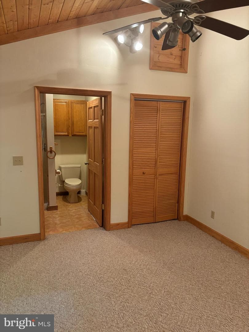 251 Riffey Mountain Lane photo 14