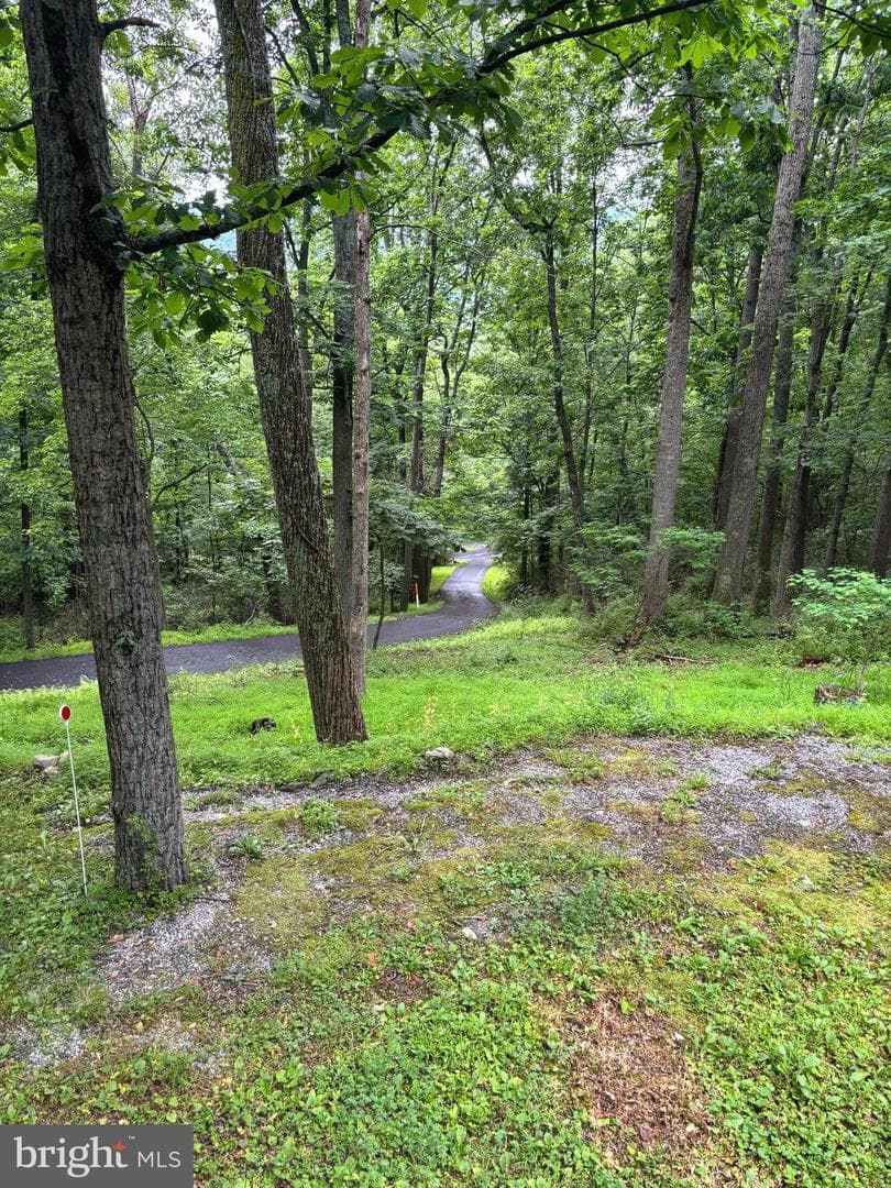 251 Riffey Mountain Lane photo 30