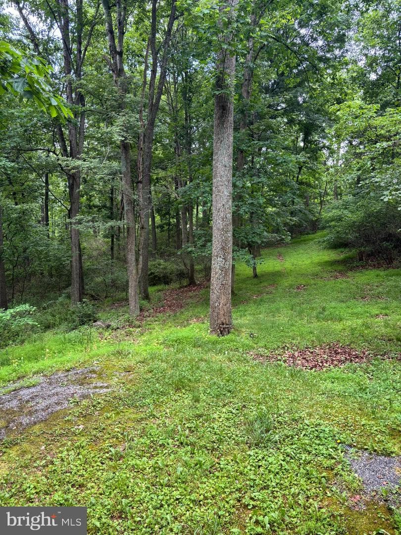 251 Riffey Mountain Lane photo 31
