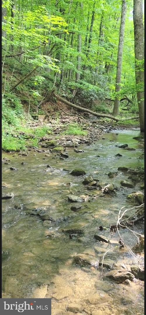 2600 Middle Cove Road photo 29
