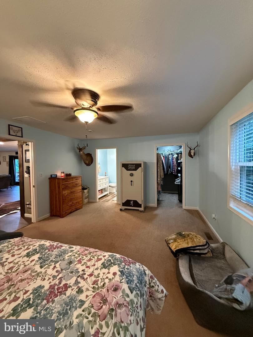367 Clinton Drive photo 25