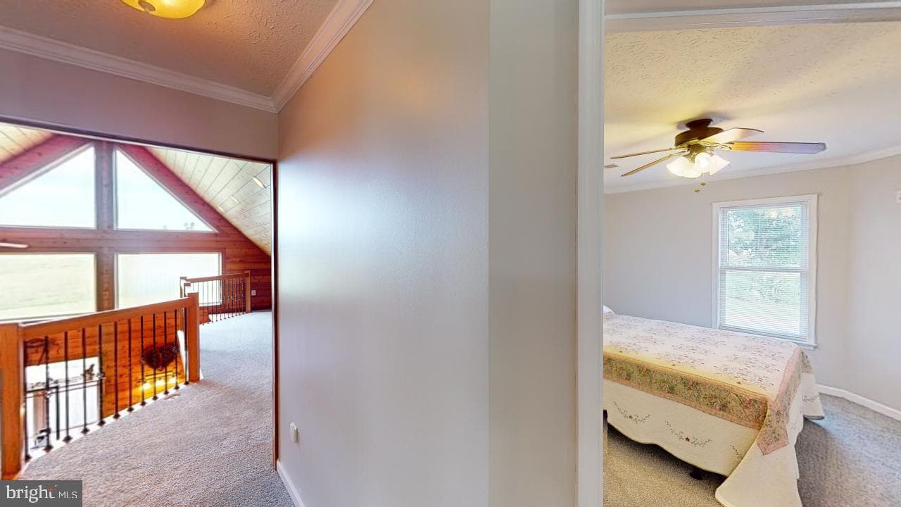 2810 Don Mccauley Road photo 47