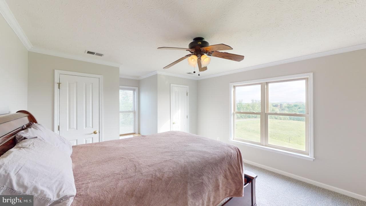 2810 Don Mccauley Road photo 52
