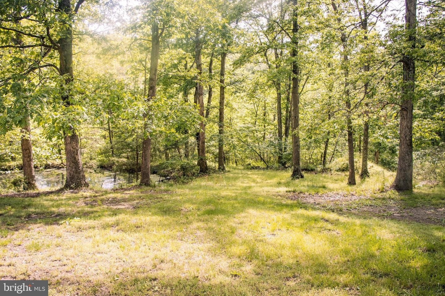 111 Stoney Mountain Overlook Road photo 81