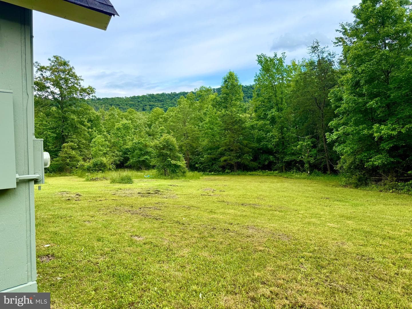 1607 Lake Ferndale Drive photo 31