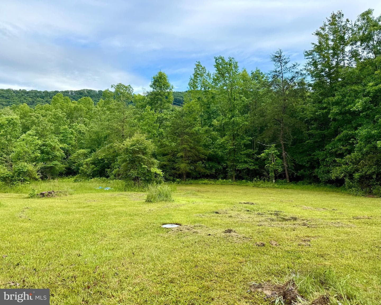 1607 Lake Ferndale Drive photo 32