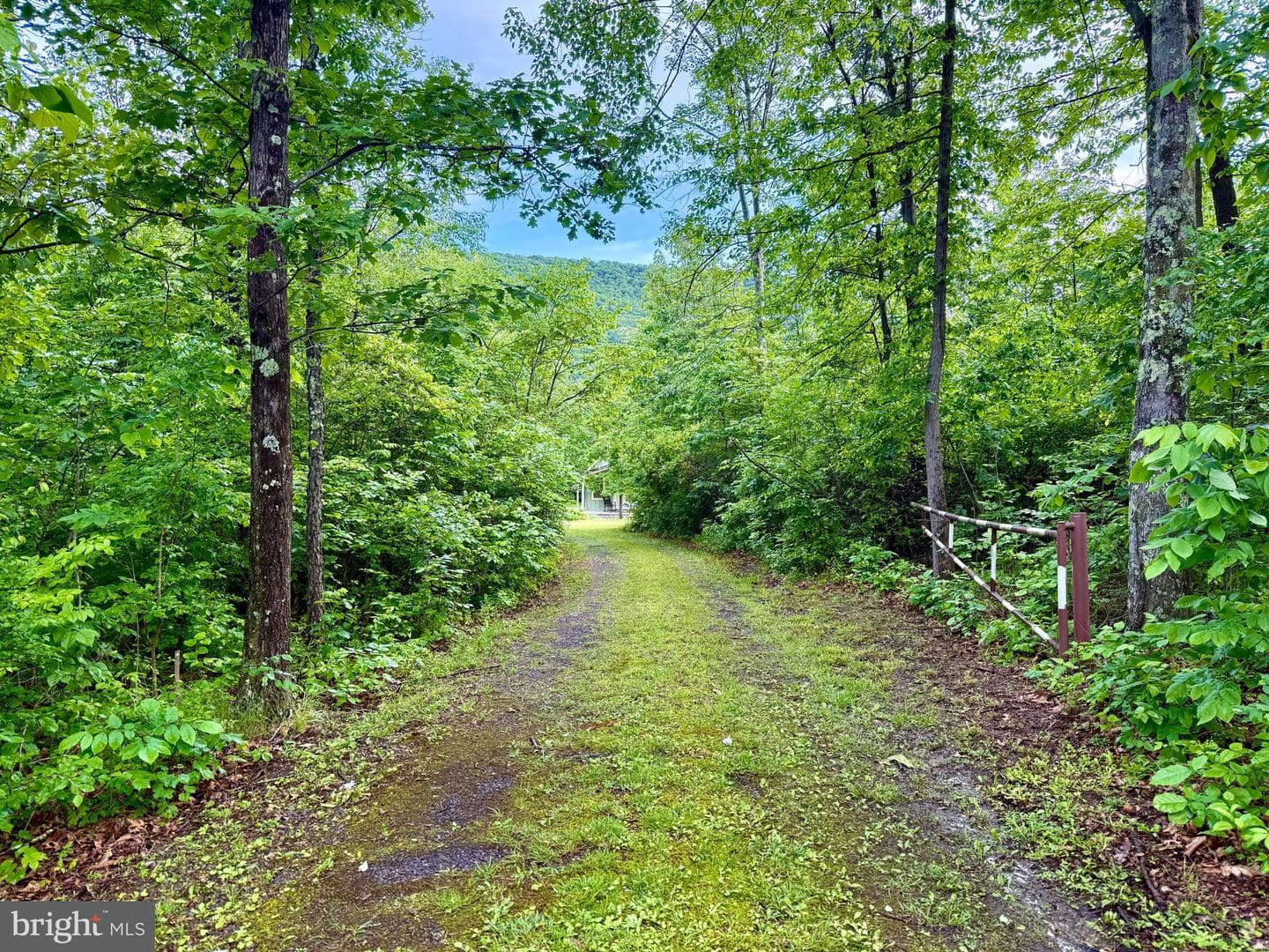 1607 Lake Ferndale Drive photo 41