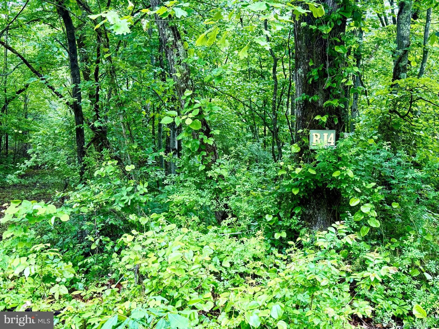 1607 Lake Ferndale Drive photo 42