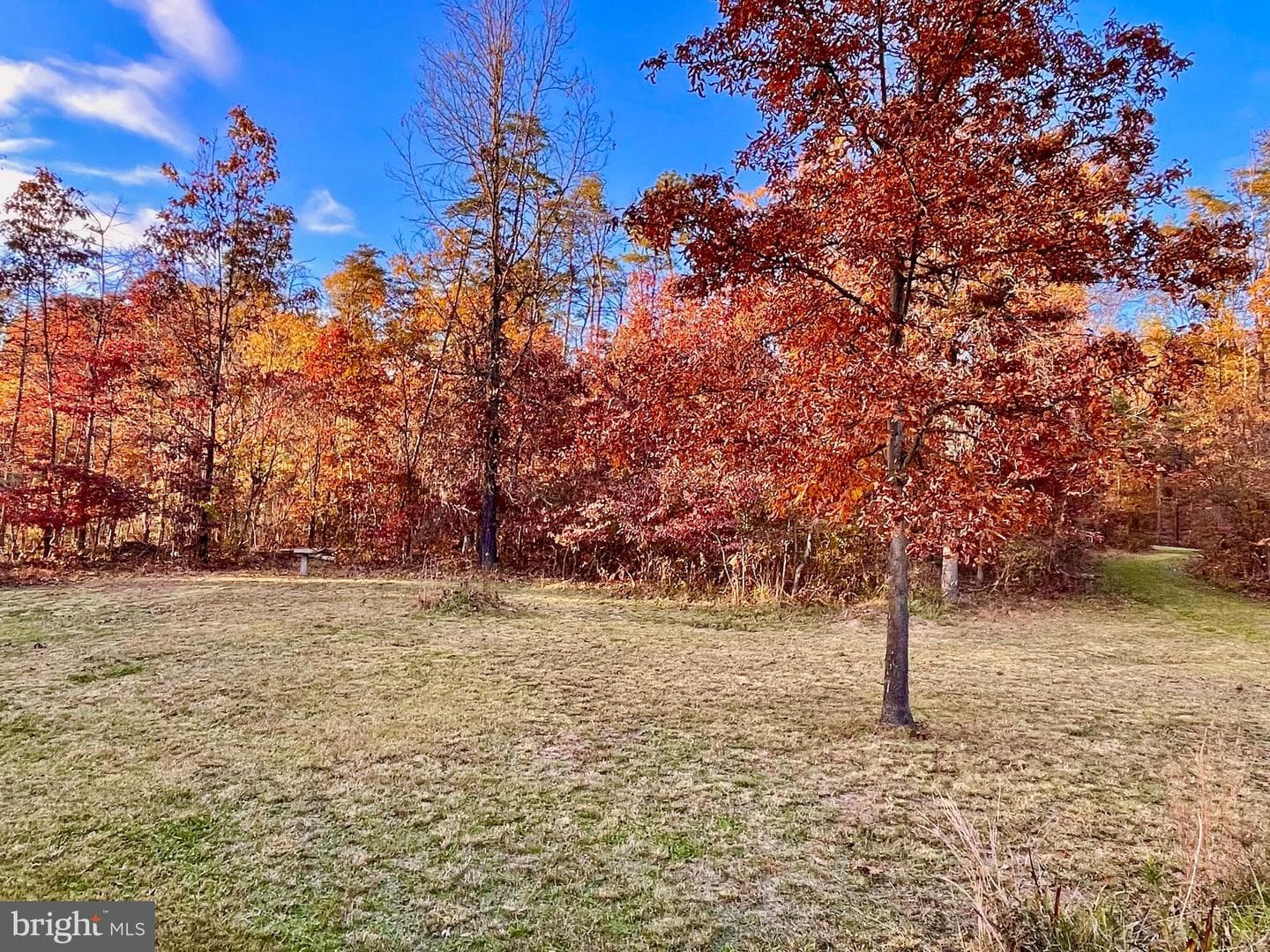 1607 Lake Ferndale Drive photo 51