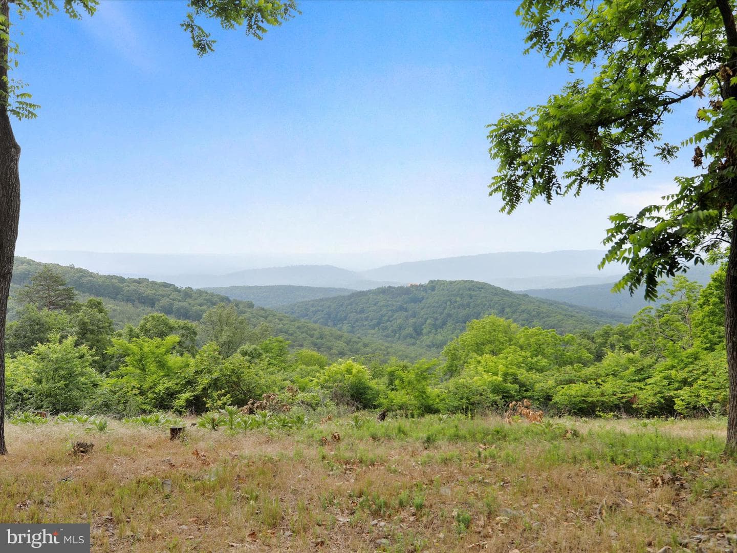 873 Bluffs Ridge photo 2