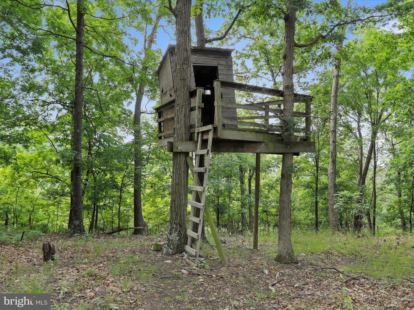 873 Bluffs Ridge photo 23