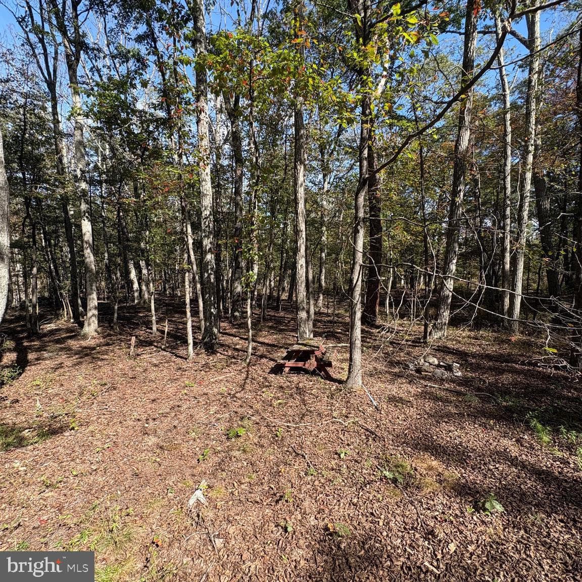 979 Ritter Drive photo 15