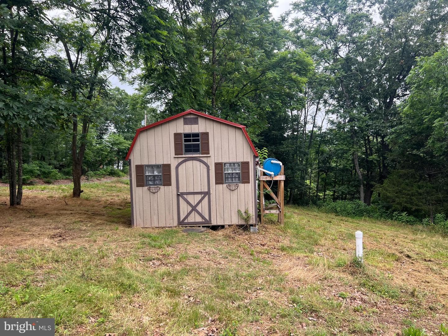 1250 Feller photo 13