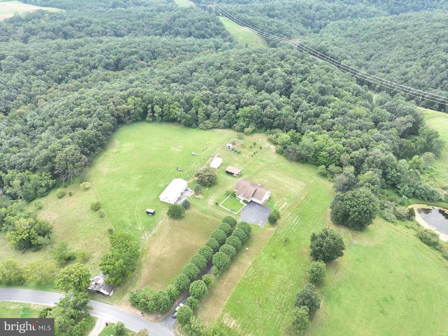 47 Perry Lane photo 50