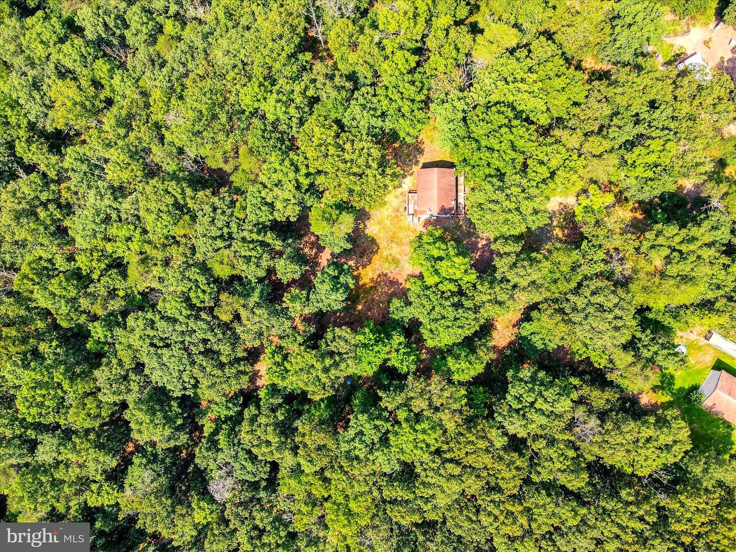 1306 Crest Haven Road photo 28