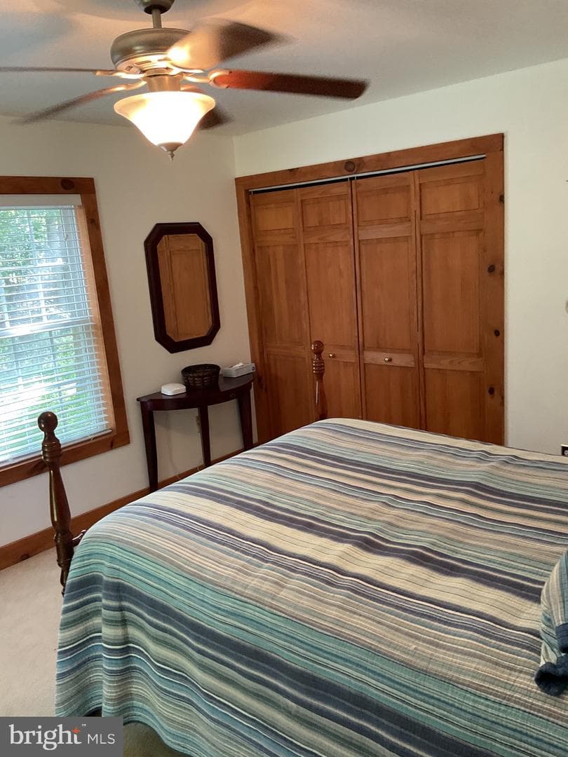 624 Mountain Lion Lane photo 24