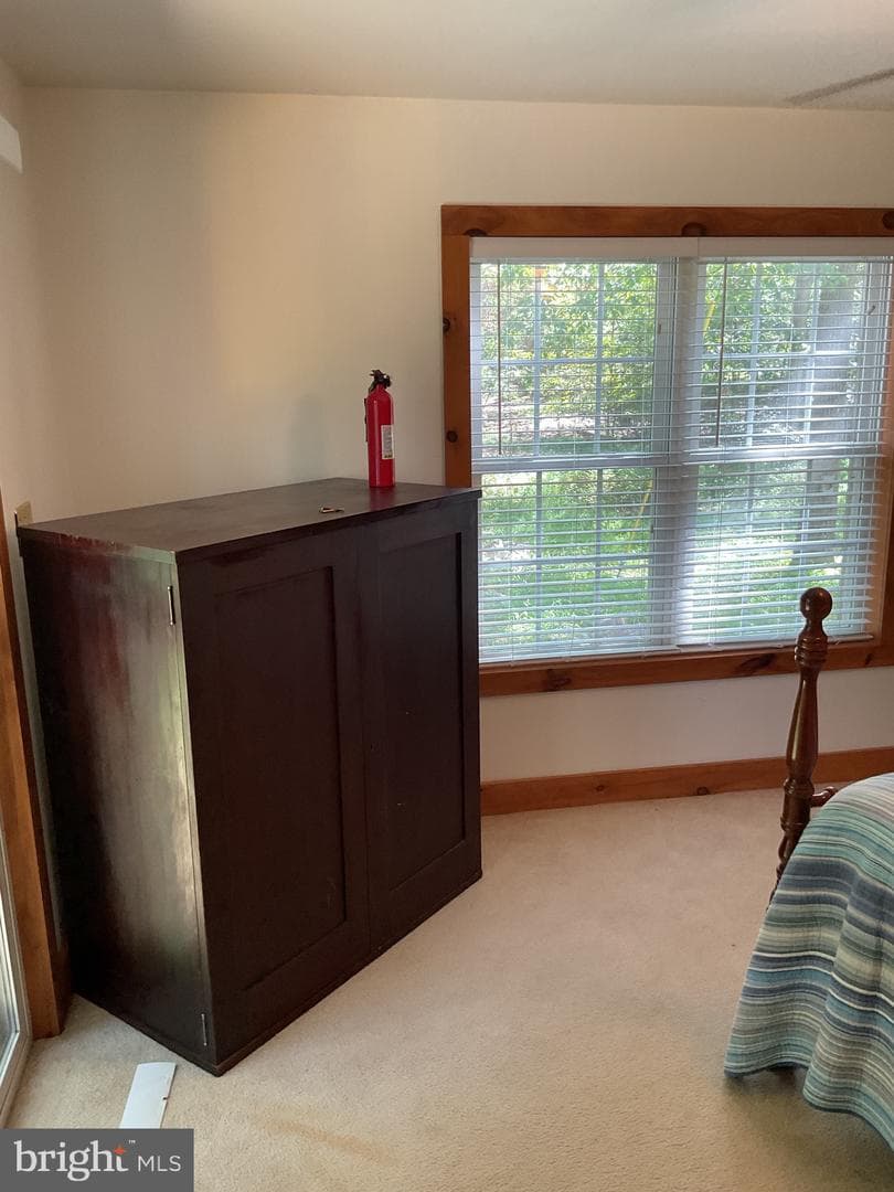 624 Mountain Lion Lane photo 25