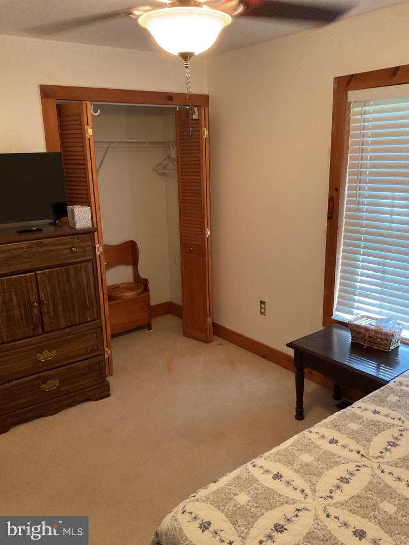 624 Mountain Lion Lane photo 29
