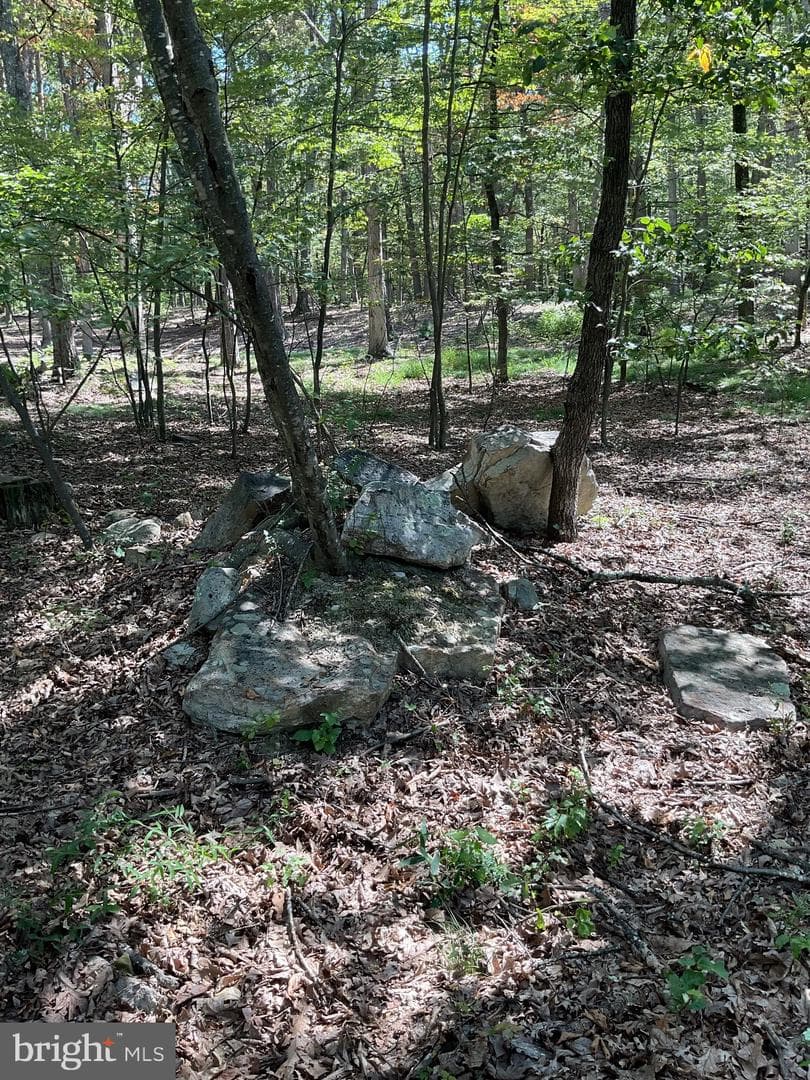 624 Mountain Lion Lane photo 30