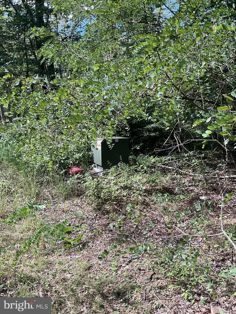 624 Mountain Lion Lane photo 32