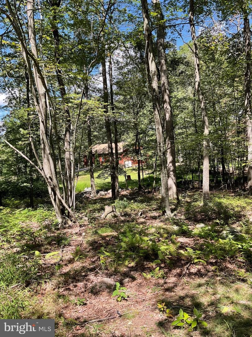 624 Mountain Lion Lane photo 34