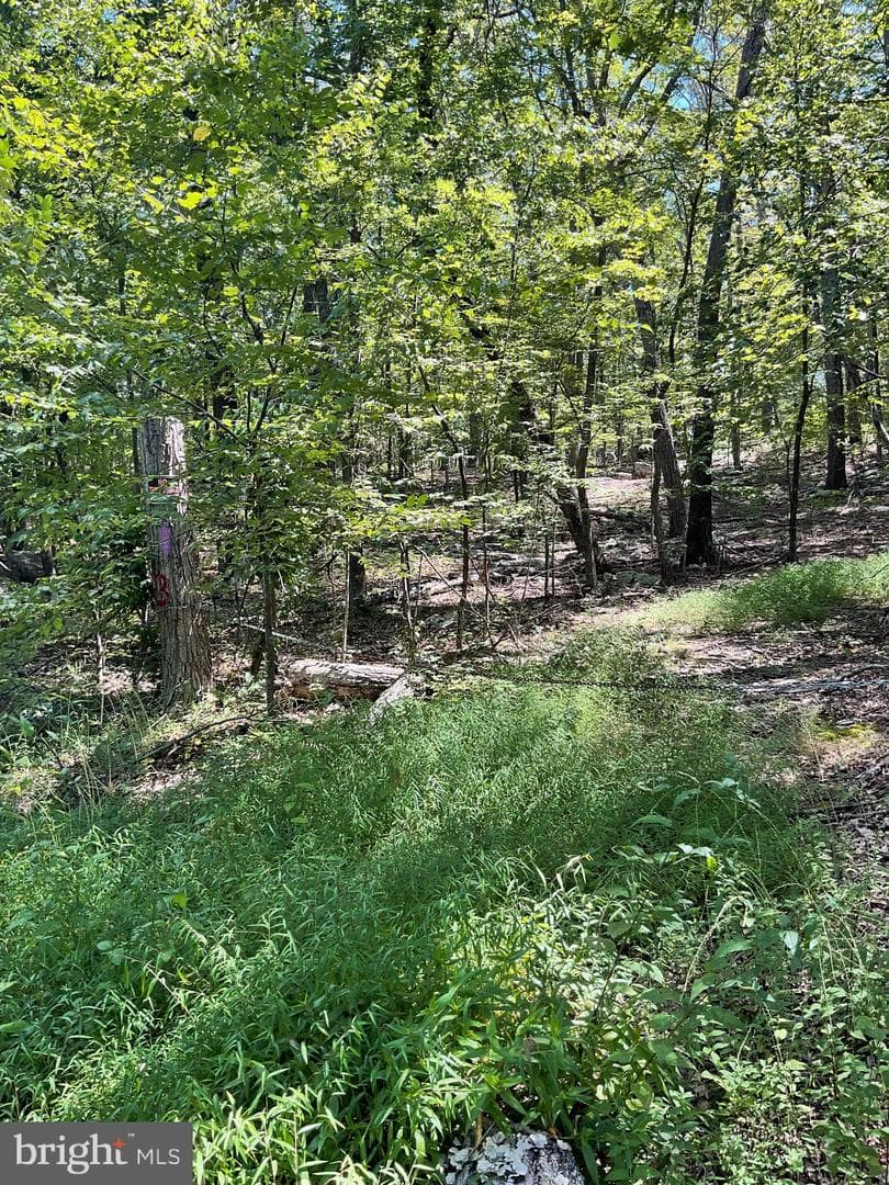 624 Mountain Lion Lane photo 8