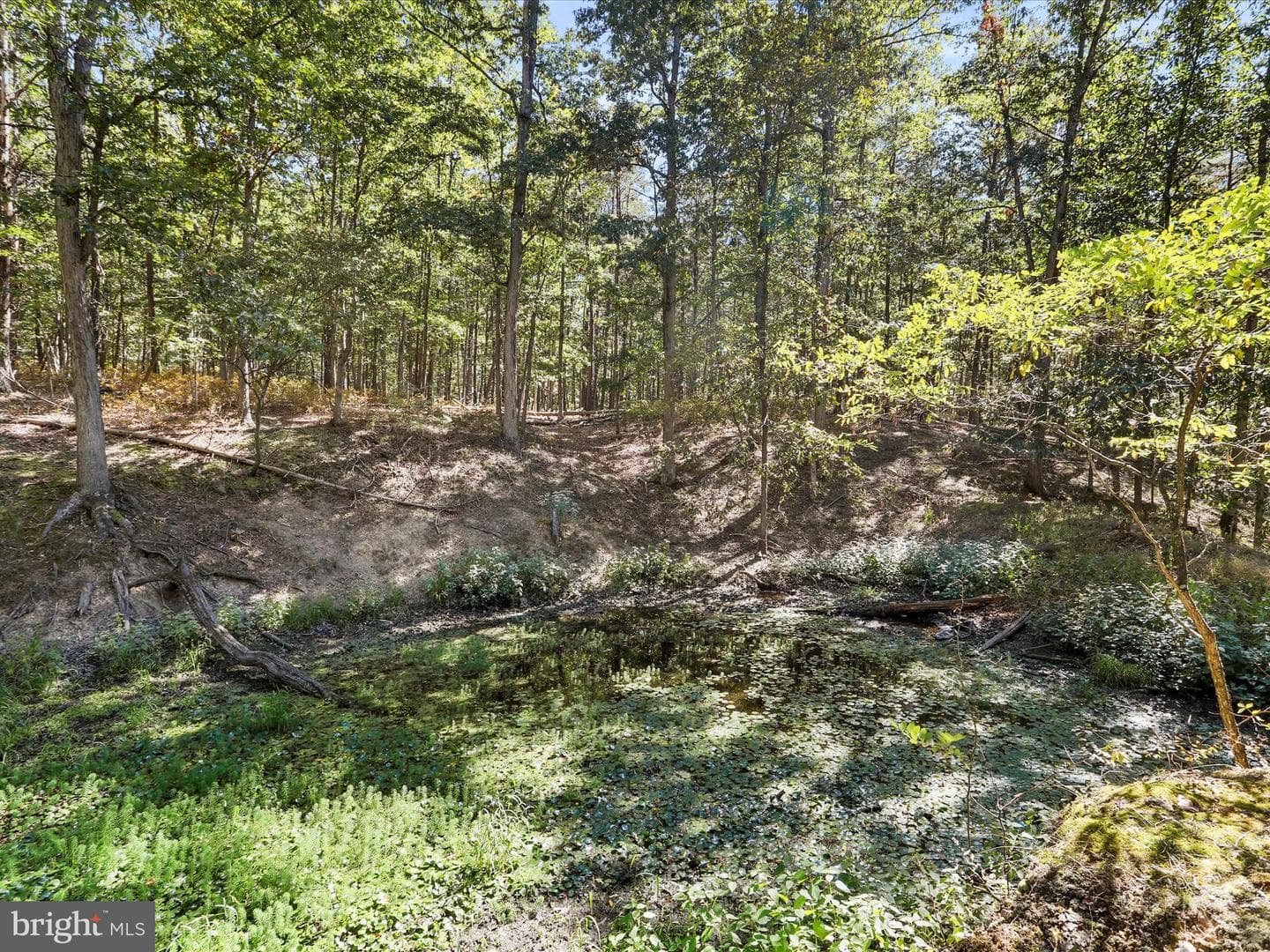2370 Kerns School Road photo 12
