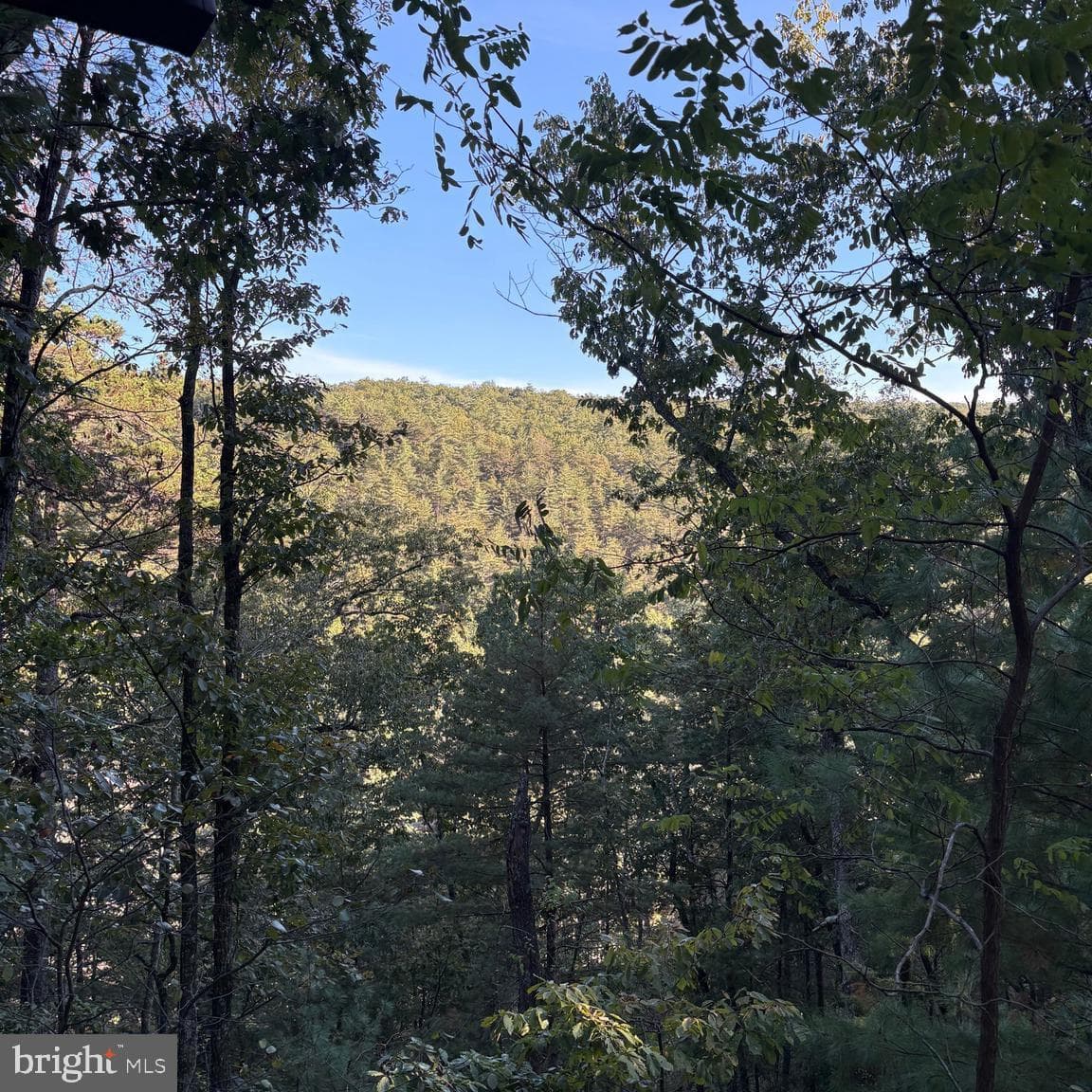 468 Turkey Knob Road photo 16