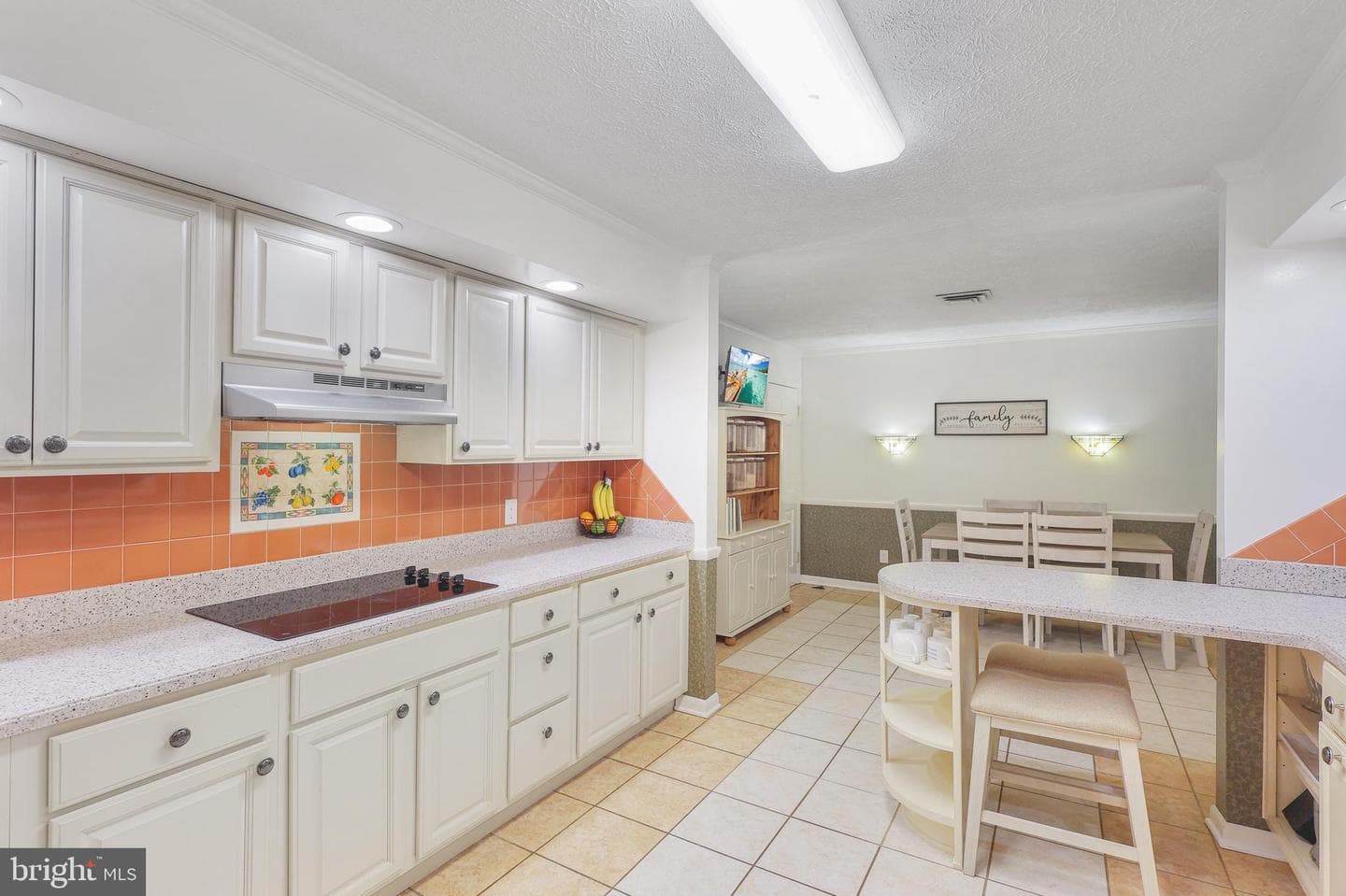 250 Whippoorwill Drive photo 8