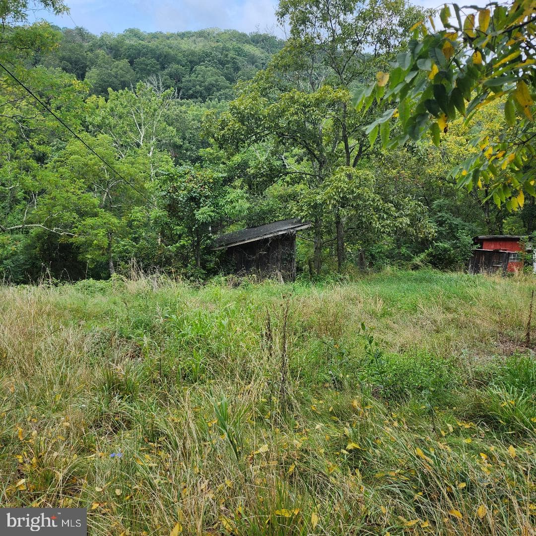 2445 Bear Wallow Hollow Road photo 23