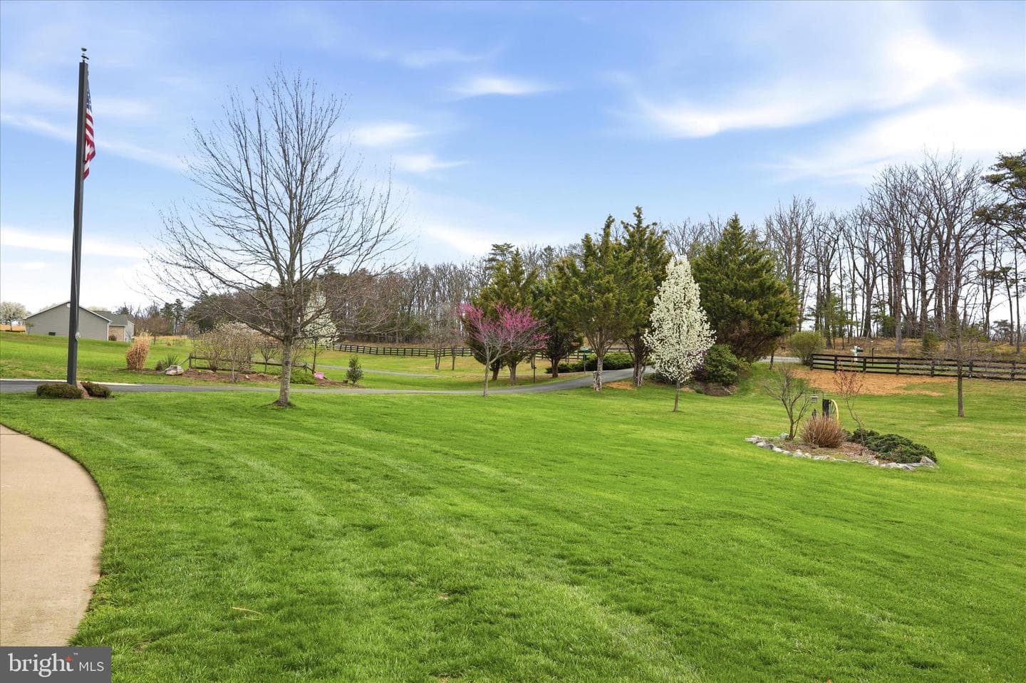 2747 Timber Ridge Road photo 9